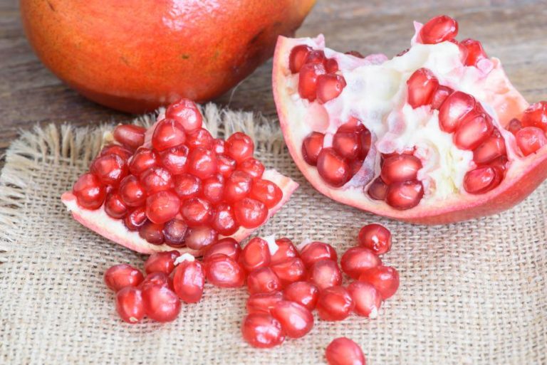 punica granatum