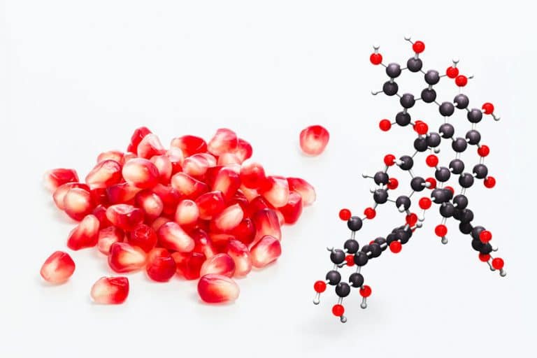 PUNICALAGINA
