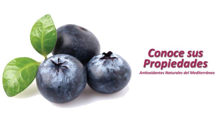arandano_conoces-sus-propiedades