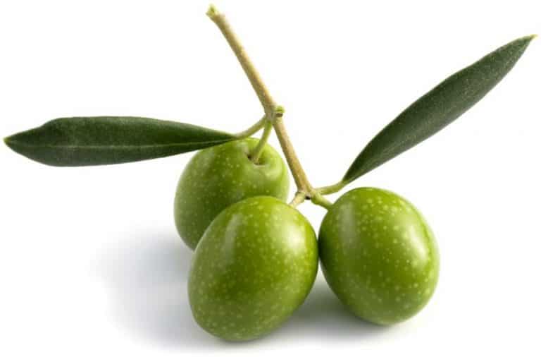 hydroxytyrosol