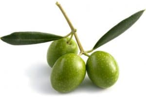 l’hydroxytyrosol