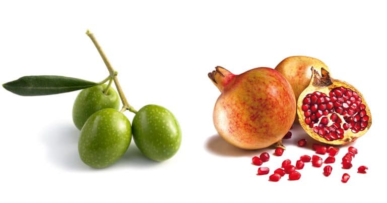 hidroxitirosol y punicalagina
