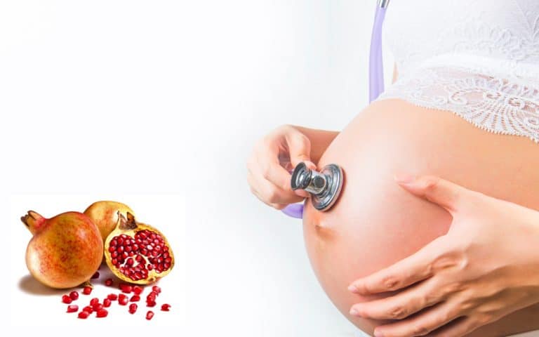 polifenoles bioactivos