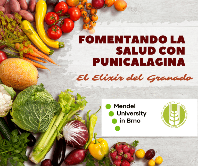 salud con punicalagina