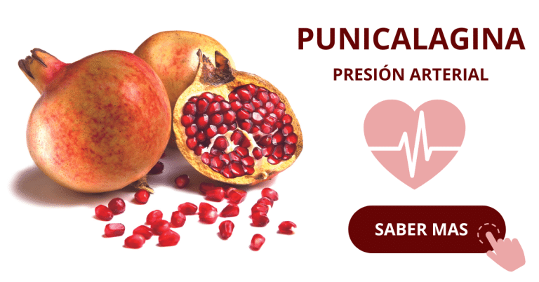 Punicalagina presión arterial