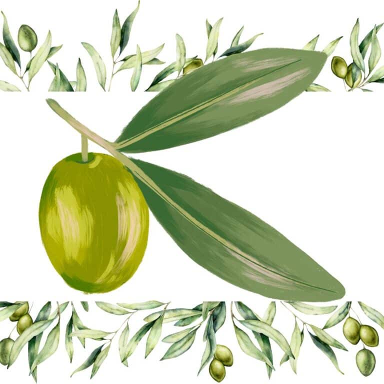 Hidroxitirosol y recuperación del ictus
