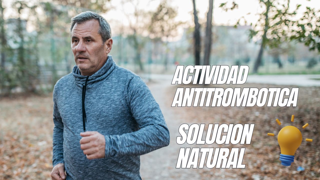 actividad antitrombótica
