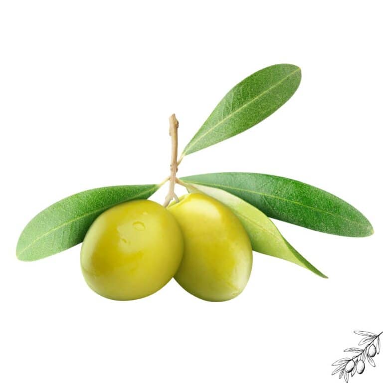 Hidroxitirosol y síndrome metabólico