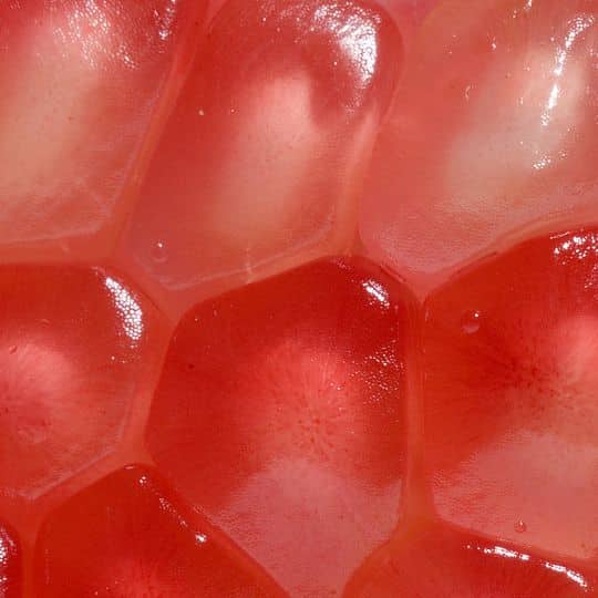 Preguntas frecuentes sobre la punicalagina y las nanopartículas de plata ¿Qué es la punicalagina? Es un polifenol natural presente en la piel de la granada, con propiedades antioxidantes, antiinflamatorias y antimicrobianas. ¿Qué beneficios aporta la combinación con nanopartículas de plata? Esta combinación potencia la acción antibacteriana de forma natural y sostenible, sin el uso de agentes químicos agresivos. ¿Qué aplicaciones prácticas tiene este descubrimiento? Se puede utilizar para desarrollar apósitos, recubrimientos médicos y materiales de uso veterinario con propiedades antimicrobianas eficaces. ¿Dónde encontrar punicalagina en cantidades eficaces? Aunque la granada contiene punicalagina, los estudios científicos se basan en cápsulas concentradas de extracto purificado que aportan 200 mg por dosis diaria, equivalentes a una gran cantidad de granada fresca. ¿La punicalagina es segura? Sí. Diversos estudios han demostrado su seguridad para el consumo humano y su alta tolerabilidad en distintas formulaciones.