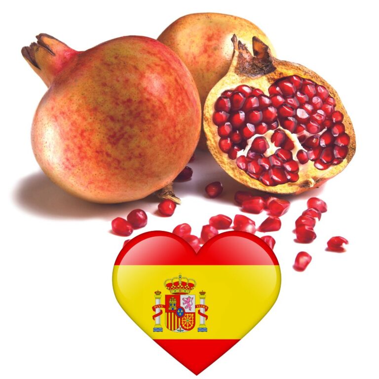 Polifenoles de la cáscara de granada