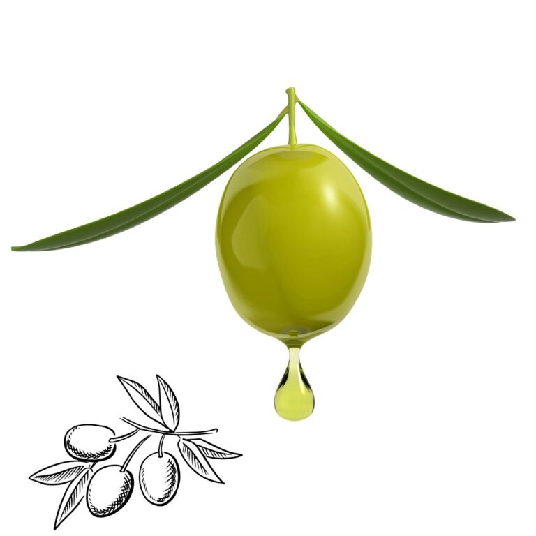 Hidroxitirosol y enfermedades mitocondriales