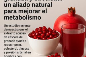 Extracto de granada y obesidad: un aliado natural para mejorar el metabolismo