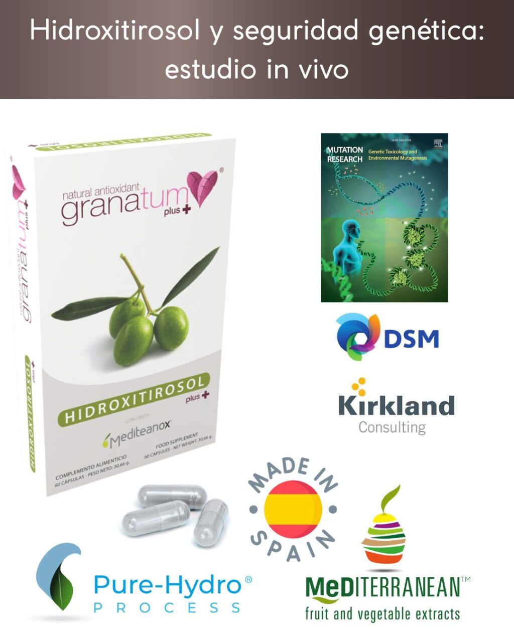 Hidroxitirosol y seguridad genética: estudio in vivo
