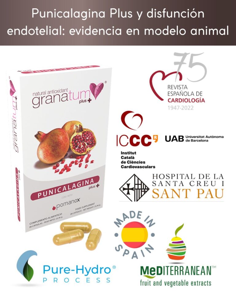 Punicalagina Plus y disfunción endotelial