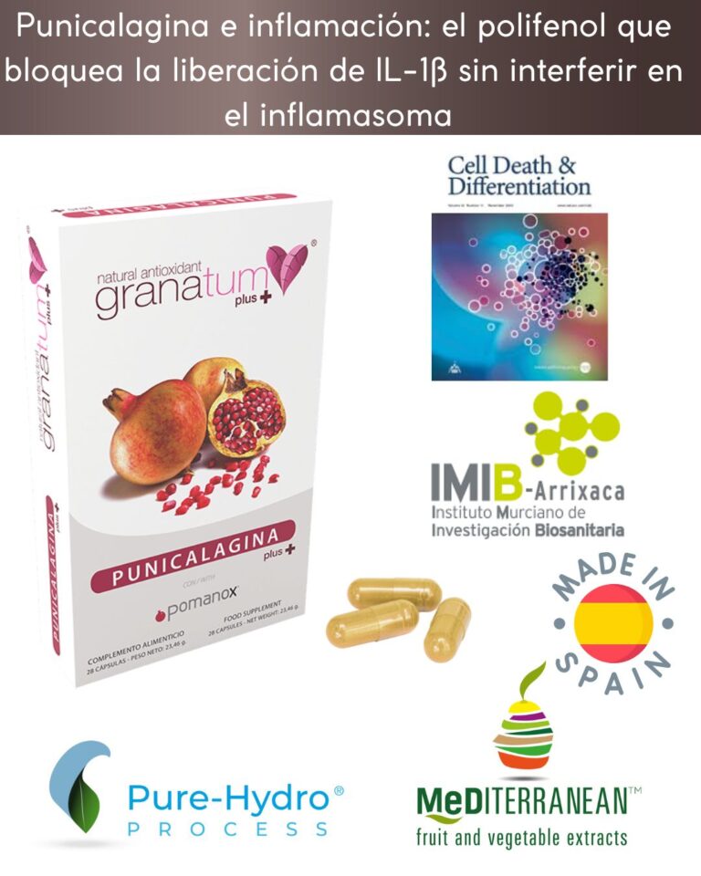 Punicalagina e inflamación