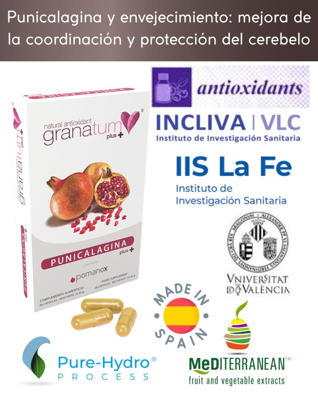 Punicalagina y envejecimiento