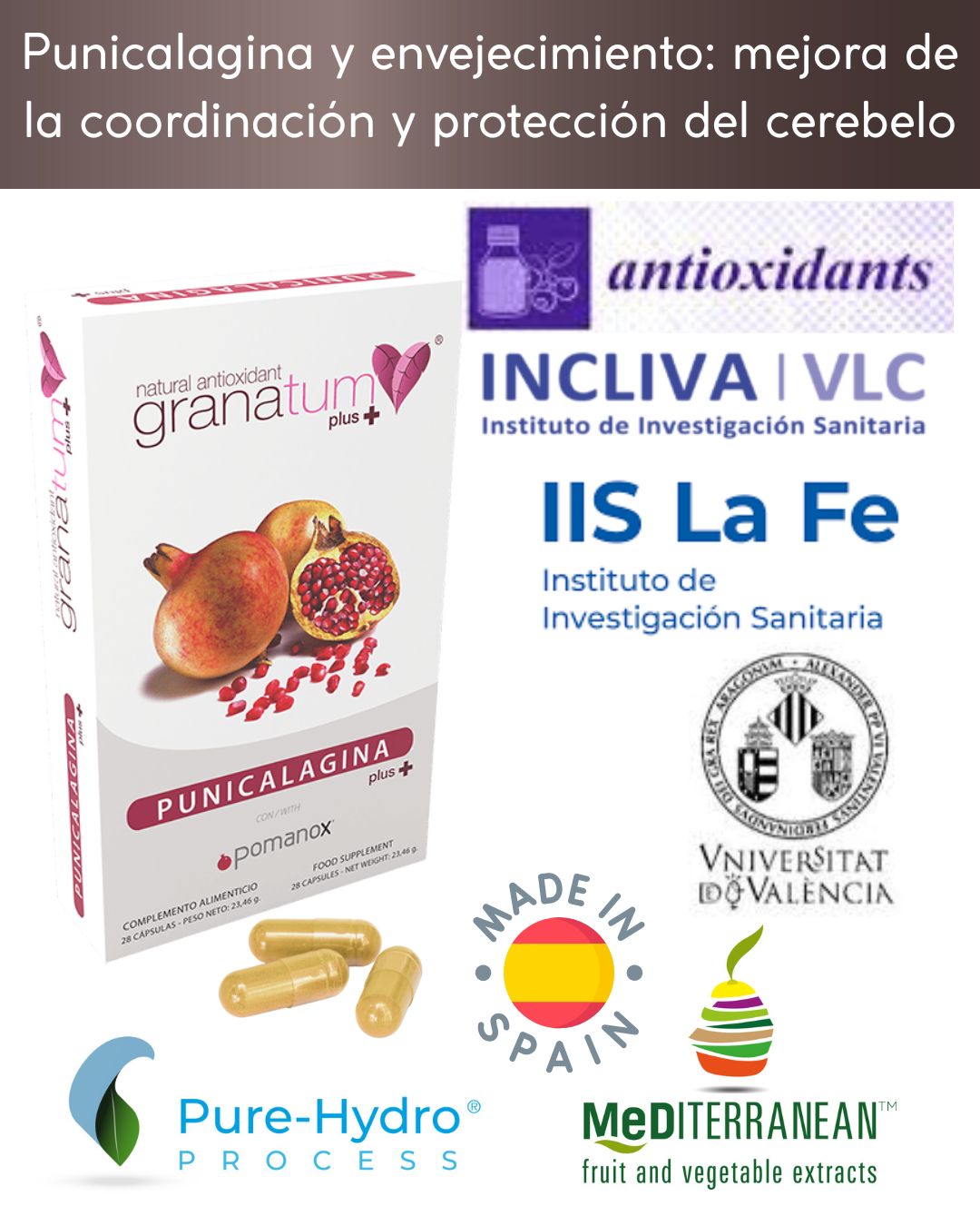 Punicalagina y envejecimiento