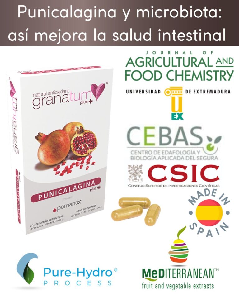 Punicalagina y microbiota