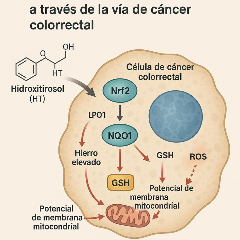 hidroxitirosol_cancer_colorrectal