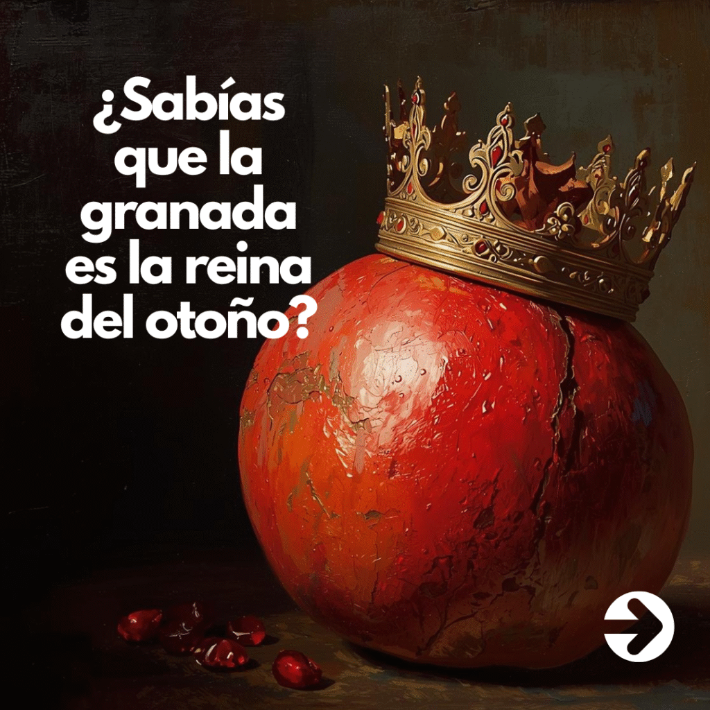 1 CARRUSEL 1ª noviembre