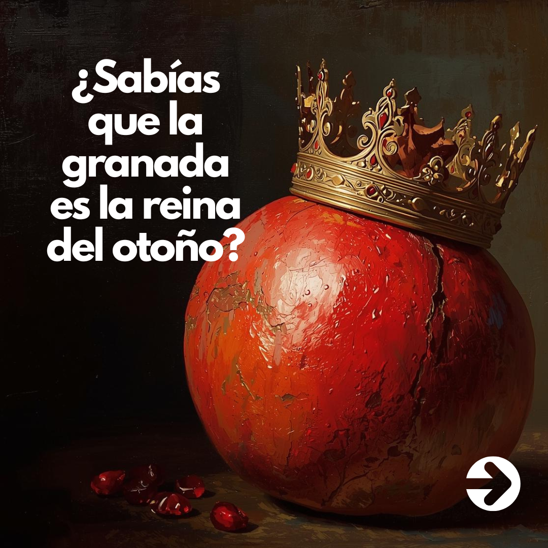 1 CARRUSEL 1ª noviembre